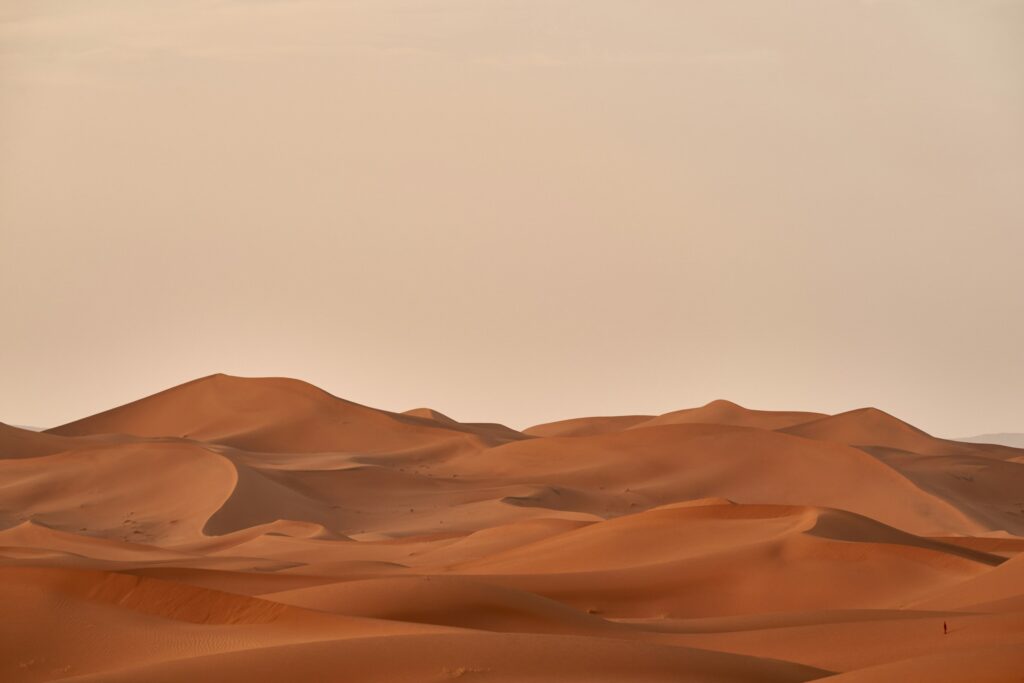 Desert Vibes